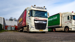 20251129-Lewiszong-00024